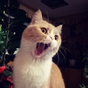 林姨小志的小说免费看
