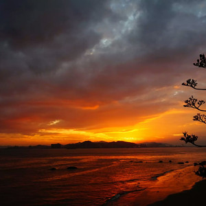 林姨小志的小说免费看
